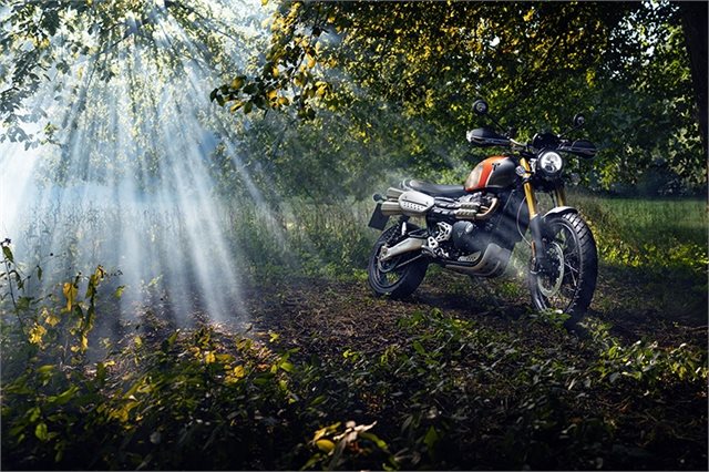 2022 Triumph Scrambler 1200 XE Gold Line at Clawson Motorsports