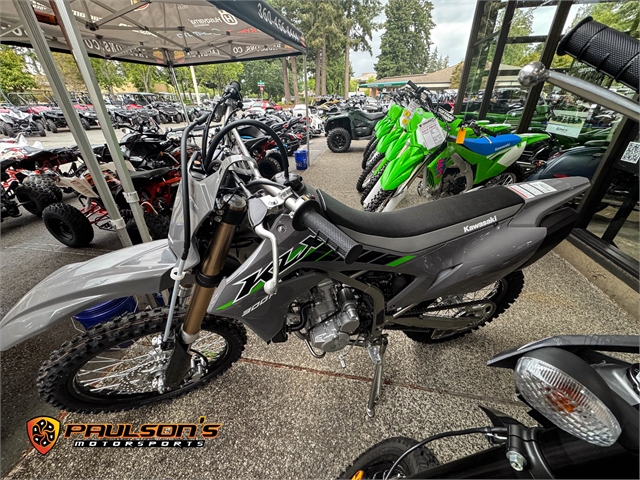 2025 Kawasaki KLX 300R at Paulson's Motorsports