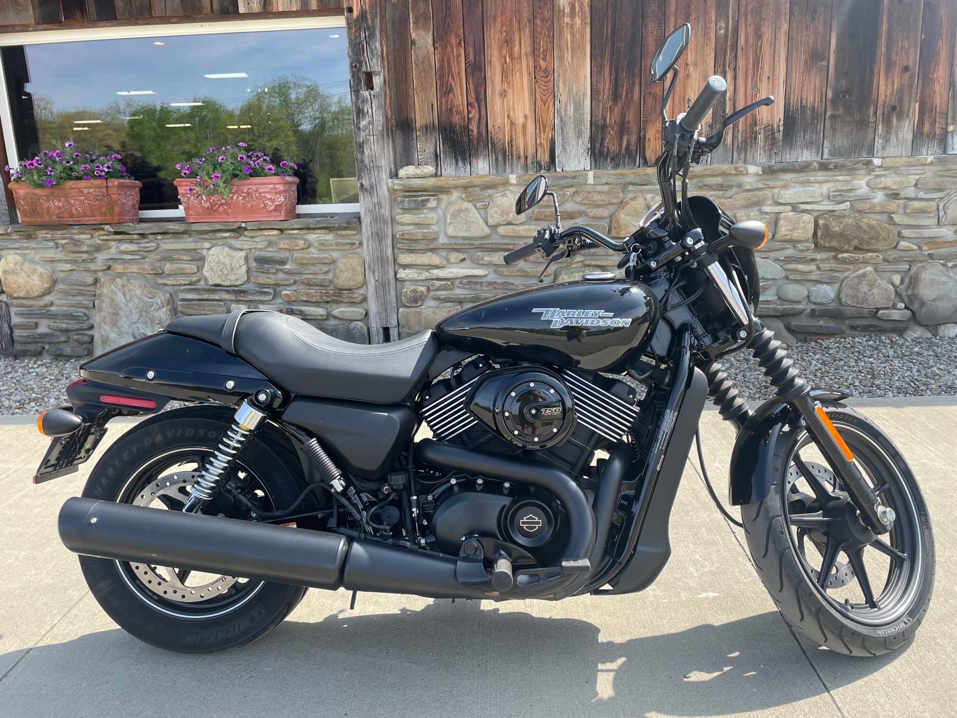 2018 Harley-Davidson Street 750 at Arkport Cycles