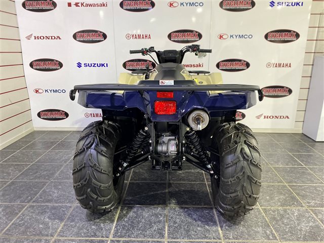 2024 Yamaha Kodiak 450 EPS SE at Cycle Max