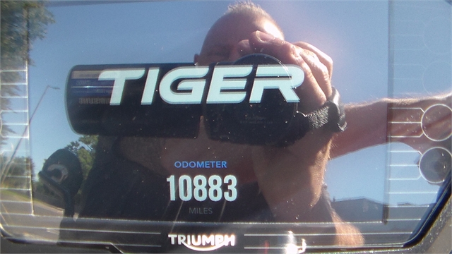 2018 Triumph Tiger 1200 XRT at Dick Scott's Freedom Powersports