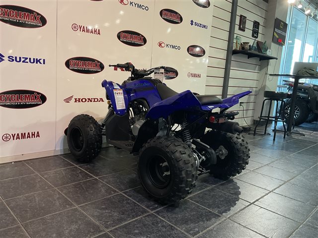 2025 Yamaha Raptor 110 at Cycle Max