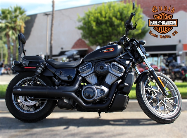 2023 Harley-Davidson Sportster NightsterT Special at Quaid Harley-Davidson, Loma Linda, CA 92354