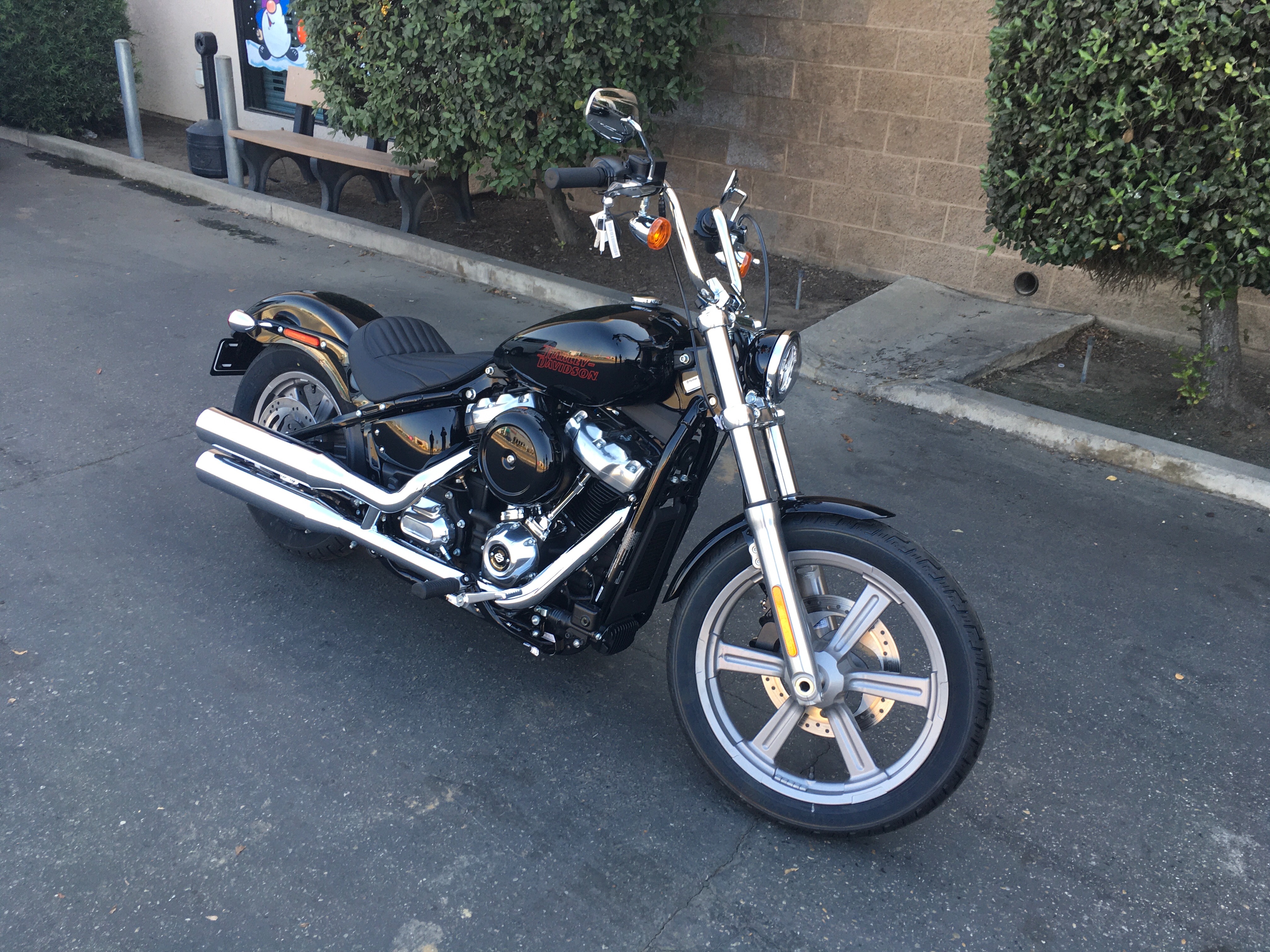 2024 Harley-Davidson Softail Standard at Fresno Harley-Davidson