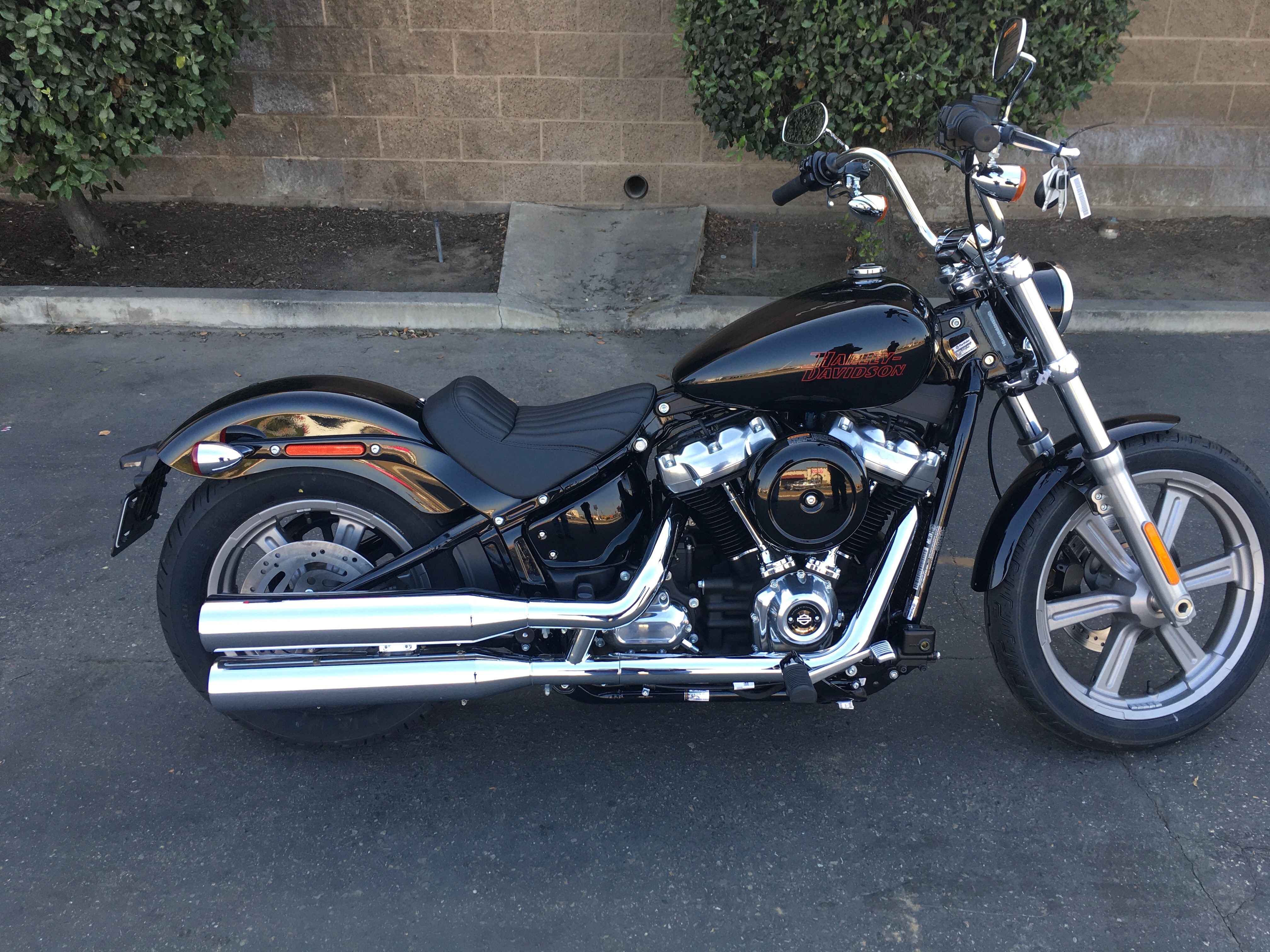 2024 Harley-Davidson Softail Standard at Fresno Harley-Davidson