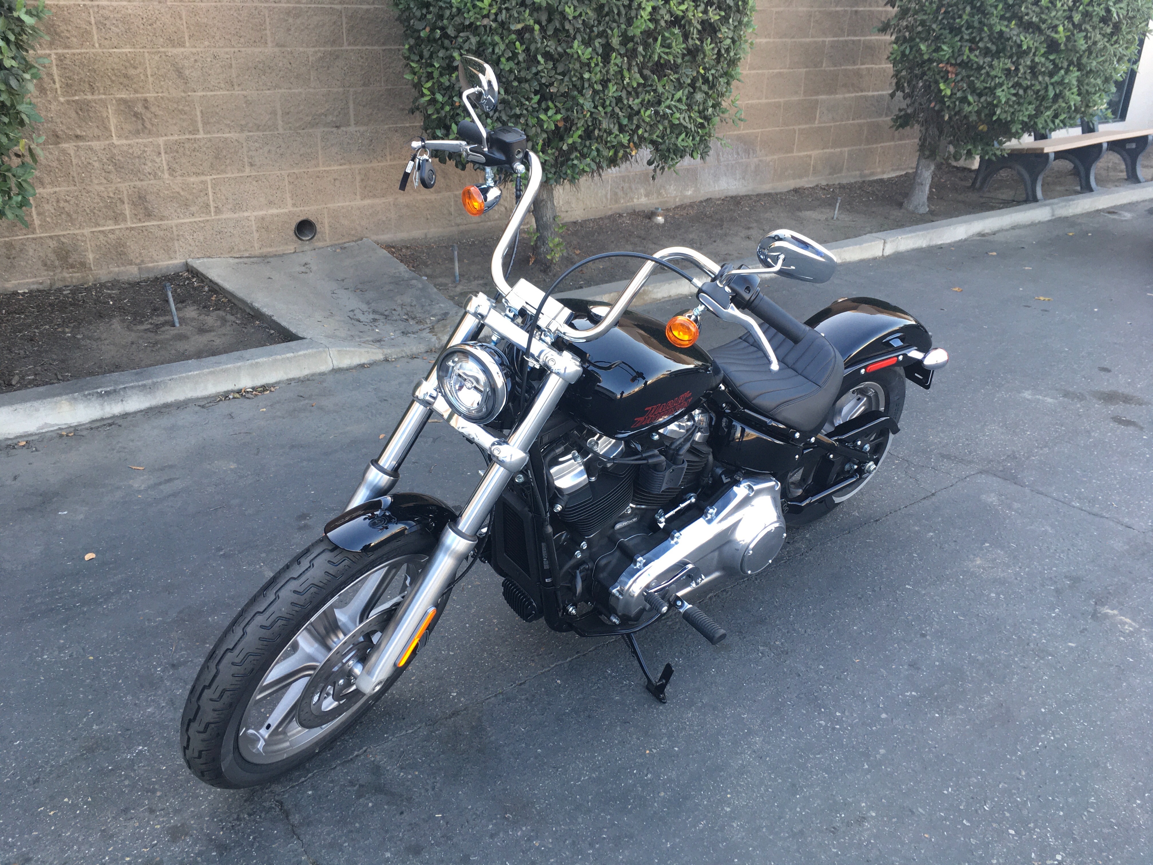 2024 Harley-Davidson Softail Standard at Fresno Harley-Davidson