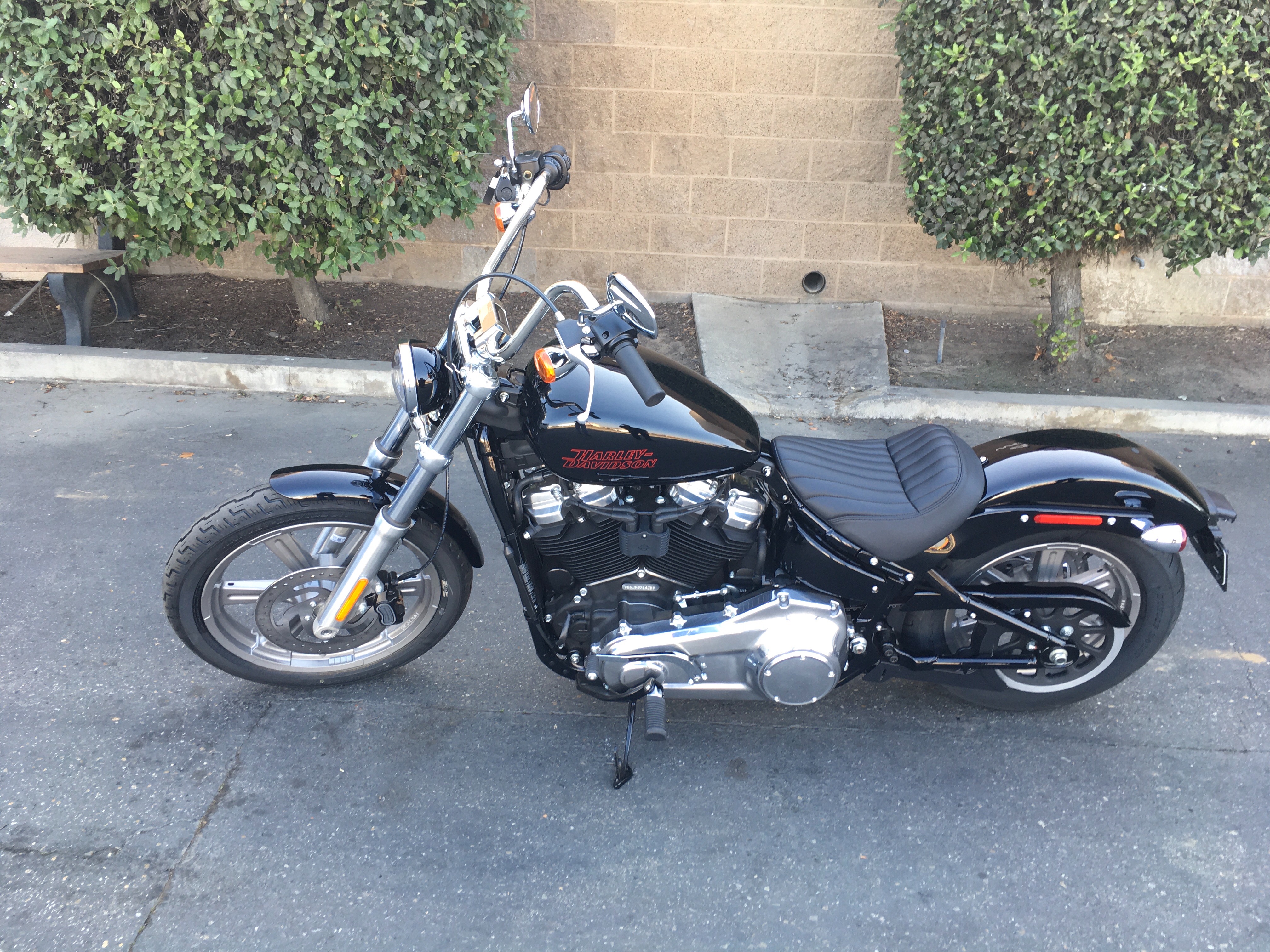 2024 Harley-Davidson Softail Standard at Fresno Harley-Davidson