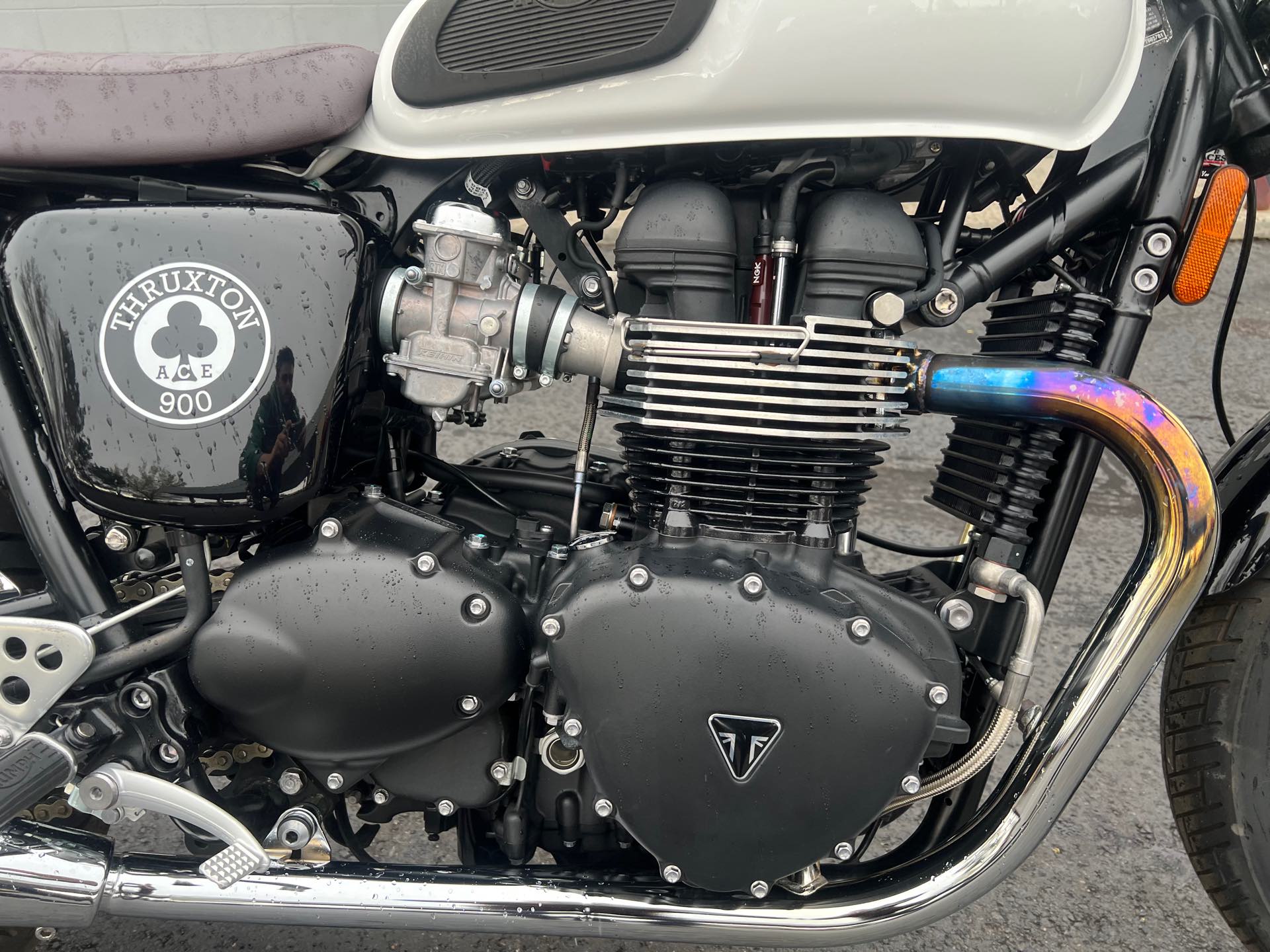 2015 Triumph Thruxton Ace Special Edition at Aces Motorcycles - Fort Collins