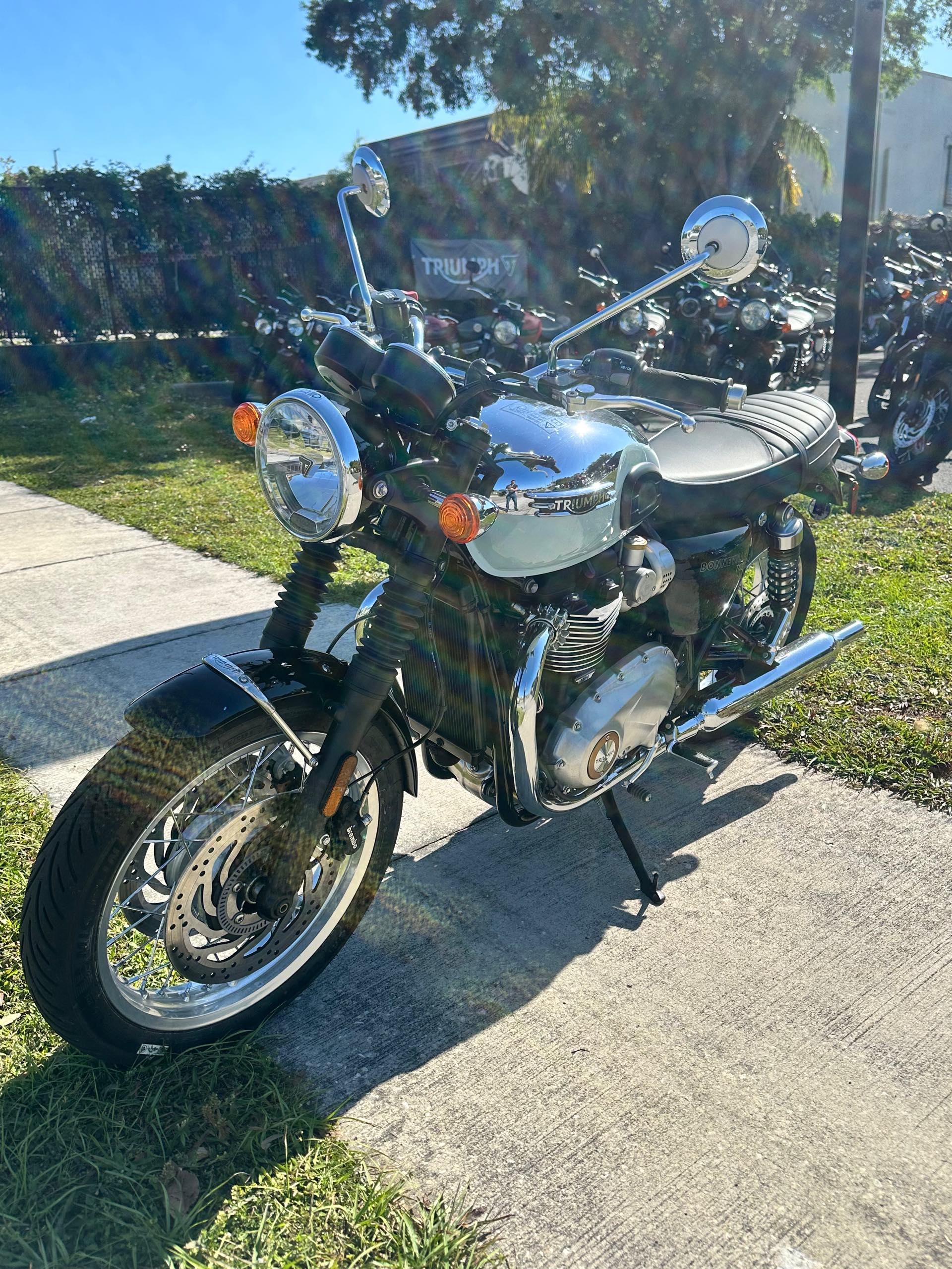 2023 Triumph Bonneville T120 Chrome Edition at Tampa Triumph, Tampa, FL 33614