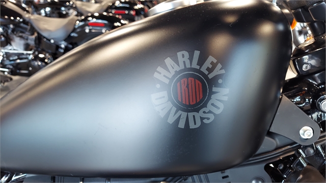 2019 Harley-Davidson Sportster Iron 883 at Keystone Harley-Davidson