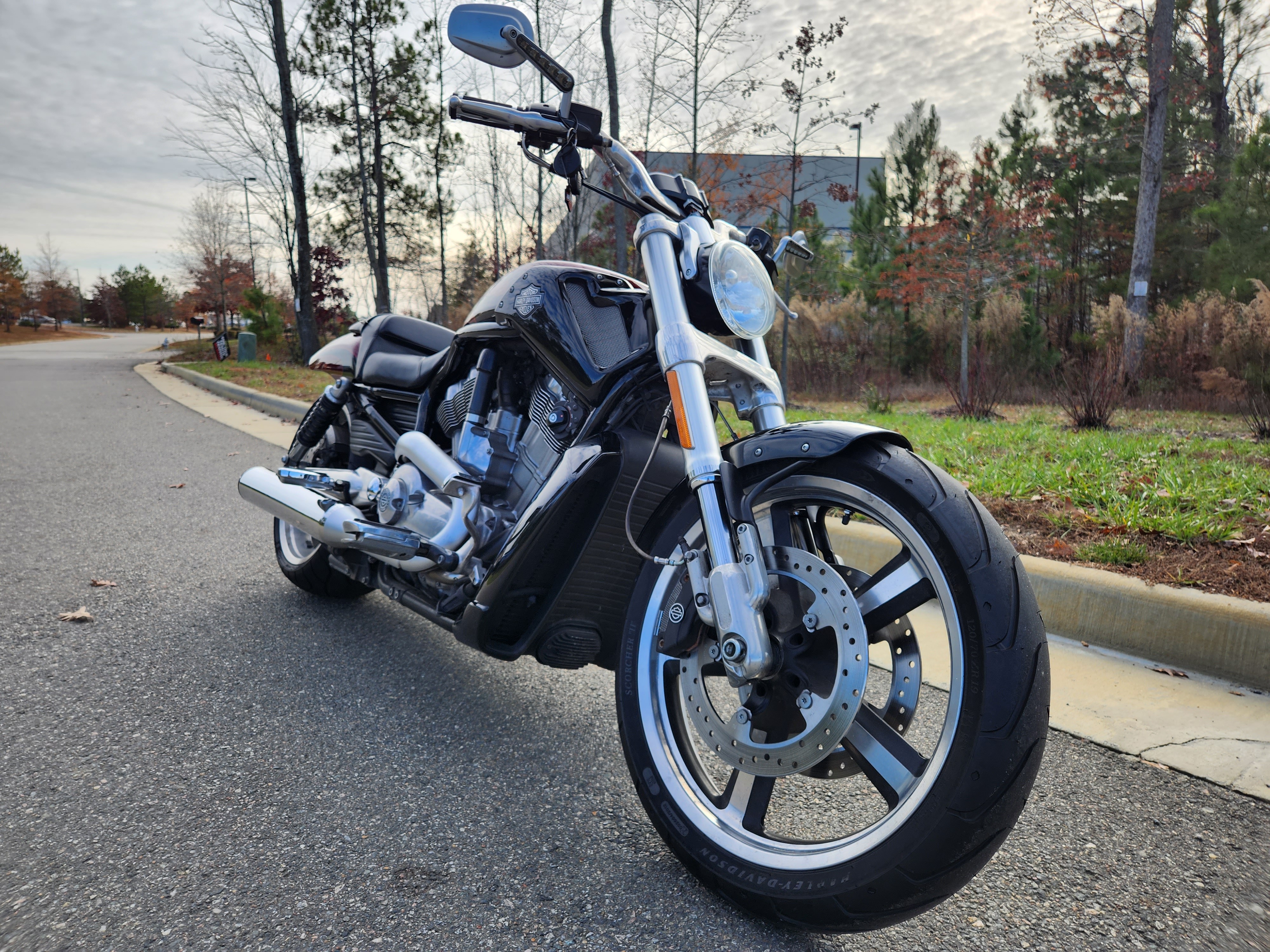 2015 Harley-Davidson V-Rod V-Rod Muscle at Richmond Harley-Davidson
