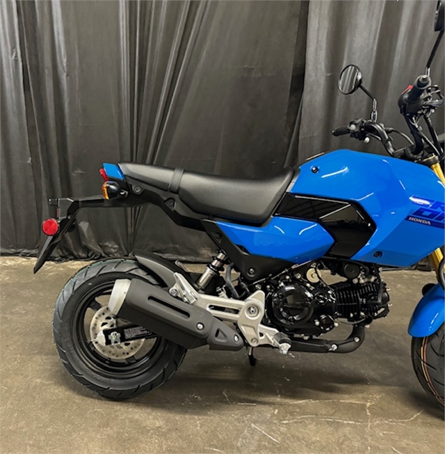 2025 Honda Grom Base at Powersports St. Augustine