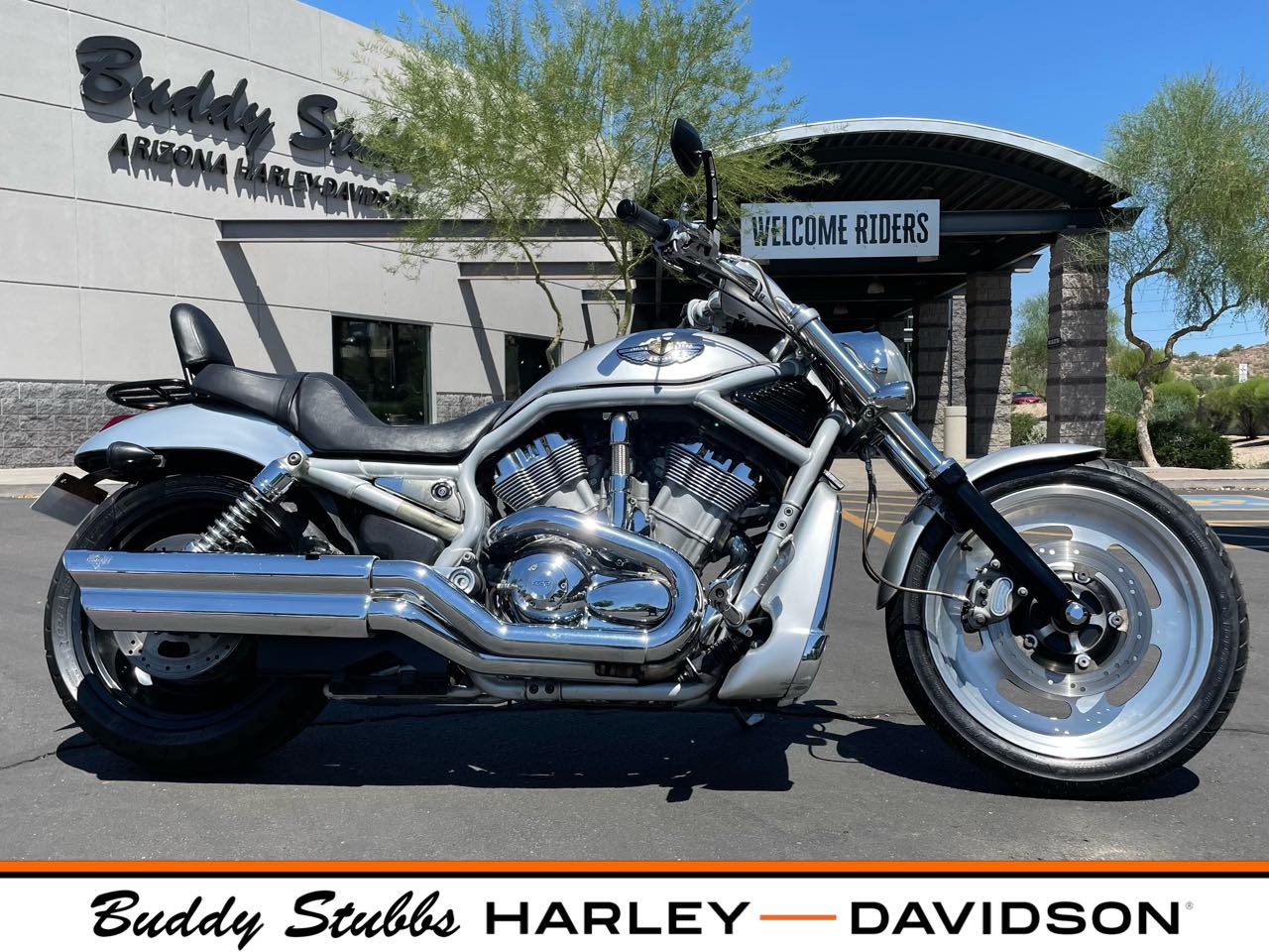 2003 Harley-Davidson VRSCA at Buddy Stubbs Arizona Harley-Davidson