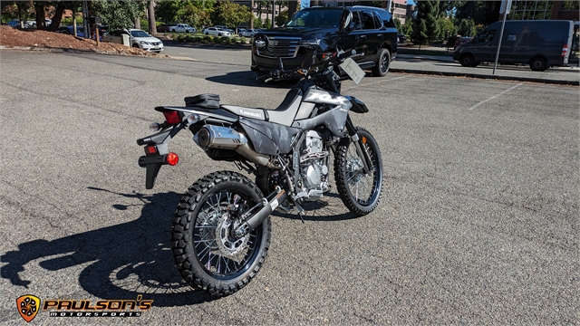 2024 Kawasaki KLX 300 at Paulson's Motorsports