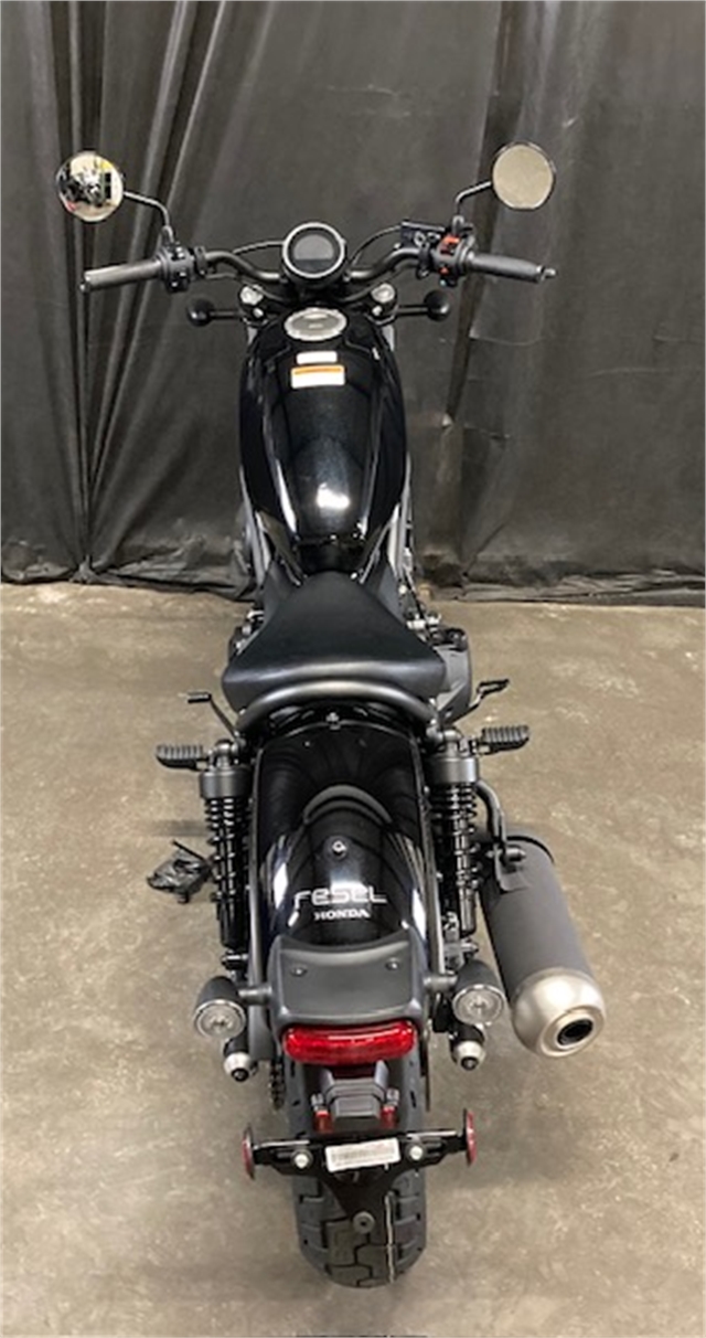 2024 Honda Rebel 500 Base at Powersports St. Augustine