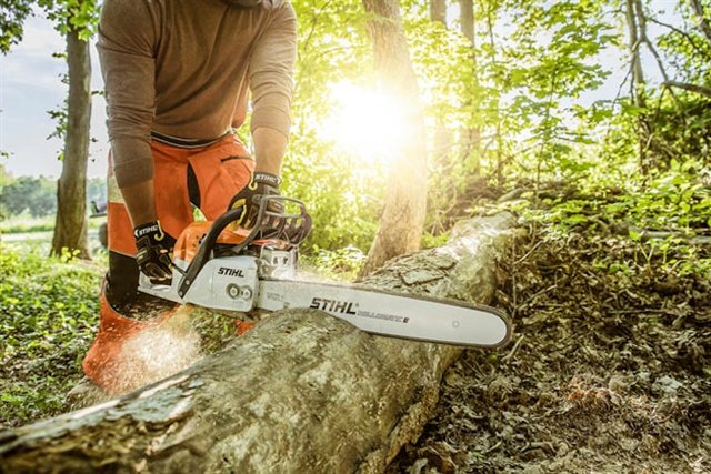 2025 STIHL MS291/20 at McKinney Outdoor Superstore