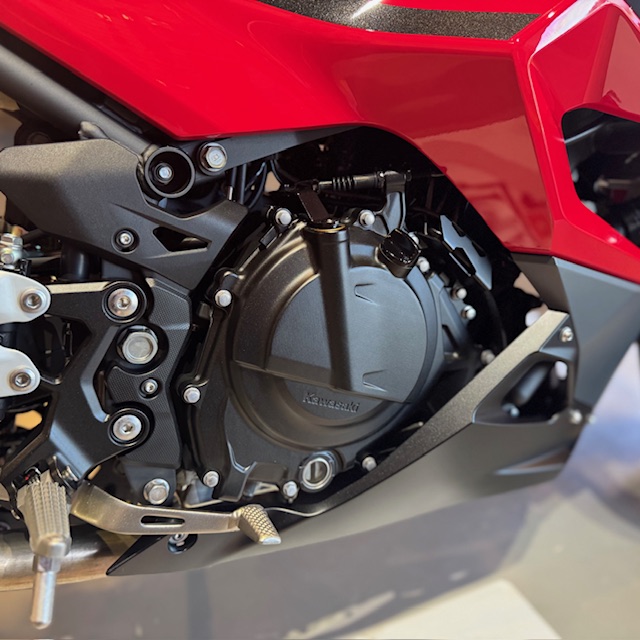 2025 Kawasaki Ninja 500 ABS at Martin Moto