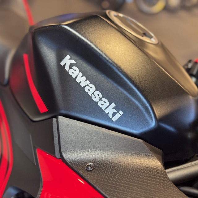 2025 Kawasaki Ninja 500 ABS at Martin Moto