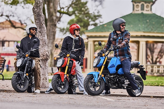 2025 Honda Grom SP at Ehlerding Motorsports