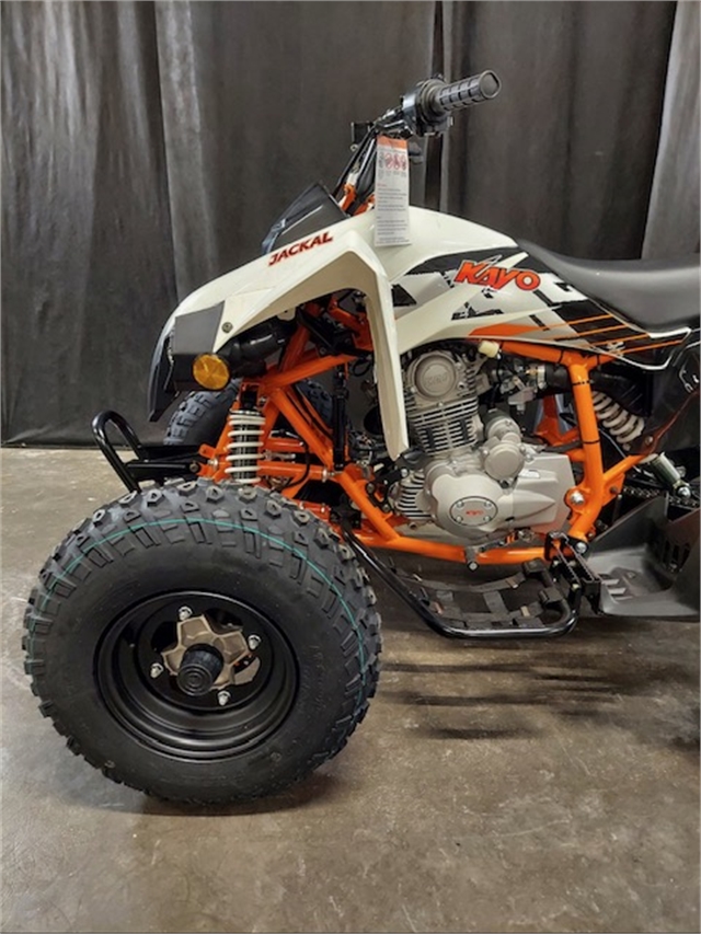 2022 Kayo 200 Jackal at Powersports St. Augustine