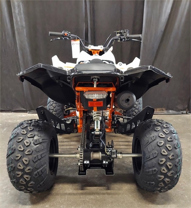 2022 Kayo 200 Jackal at Powersports St. Augustine