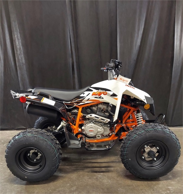 2022 Kayo 200 Jackal at Powersports St. Augustine