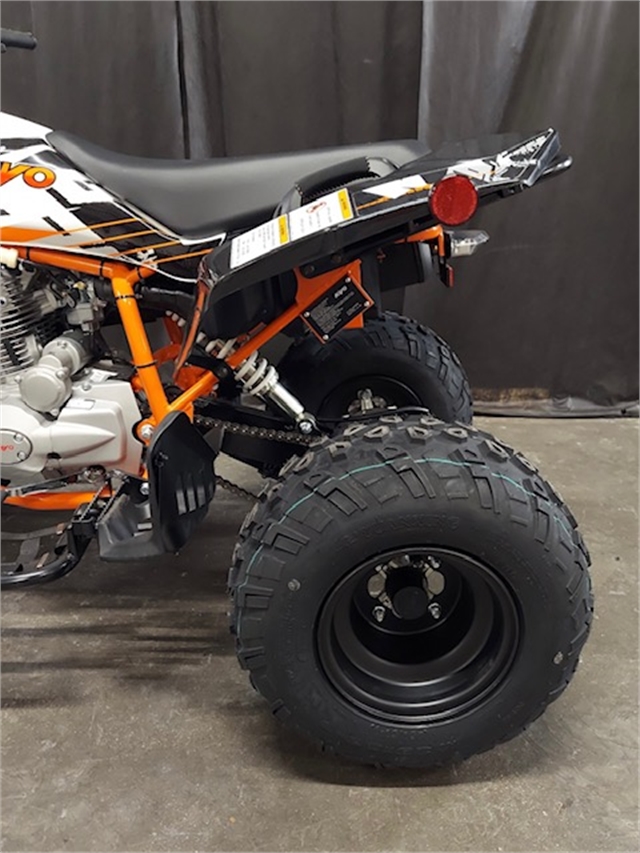 2022 Kayo 200 Jackal at Powersports St. Augustine