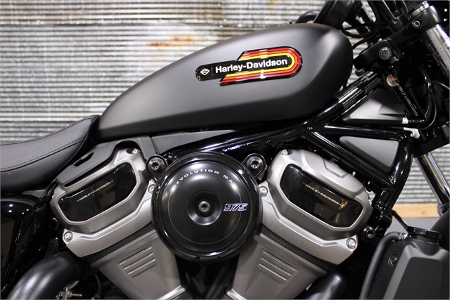 2024 Harley-Davidson Sportster Nightster Special at Texarkana Harley-Davidson