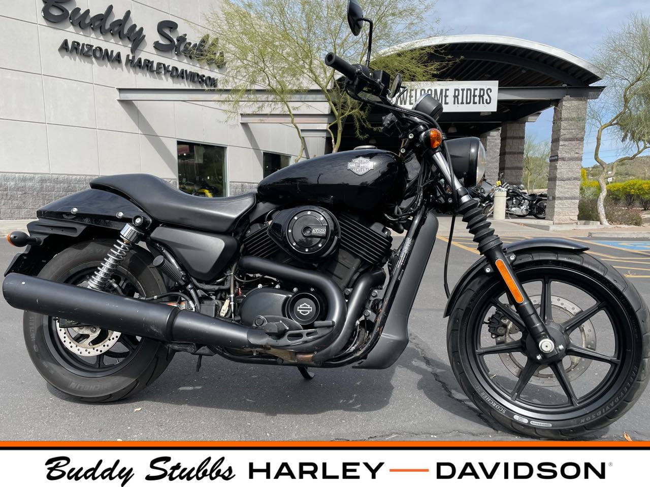 2015 Harley-Davidson Street 500 at Buddy Stubbs Arizona Harley-Davidson