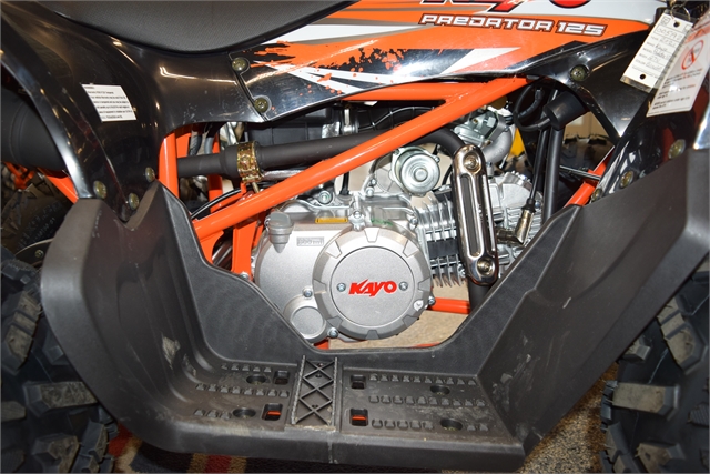 2021 Kayo 125 Predator at Motoprimo Motorsports