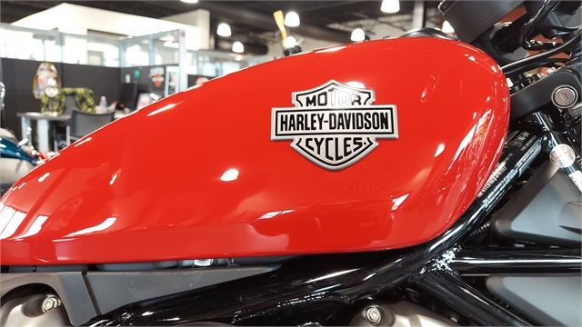 2023 Harley-Davidson Sportster Nightster at Keystone Harley-Davidson