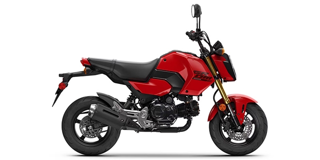 2025 Honda Grom Base at Sloans Motorcycle ATV, Murfreesboro, TN, 37129
