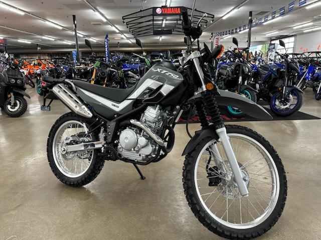 2025 Yamaha XT 250 at ATVs and More