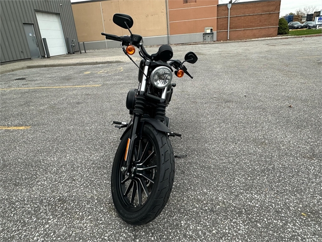 2012 Harley-Davidson Sportster Iron 883 at Thunder Road Harley-Davidson