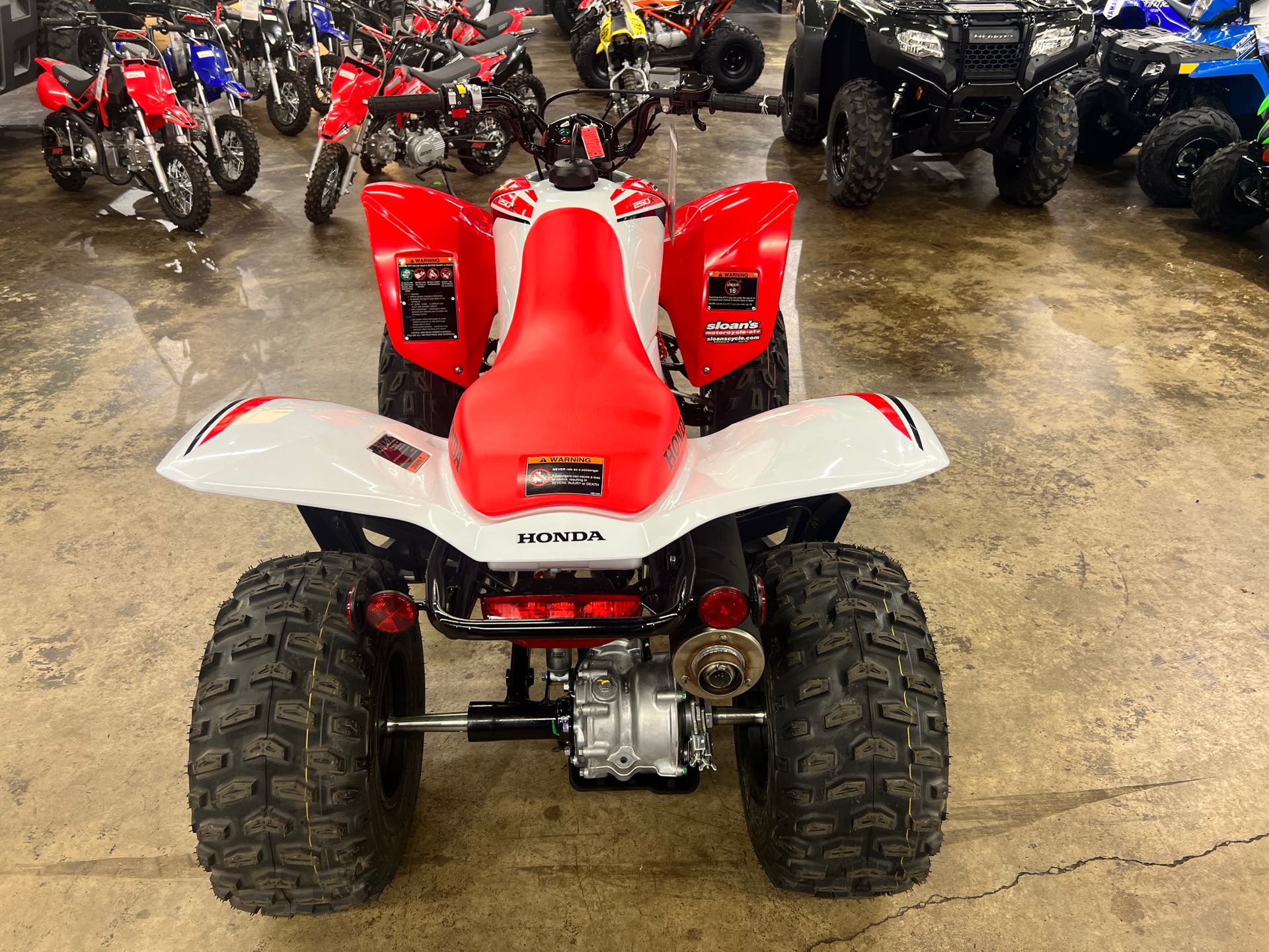 2024 Honda TRX 250X at Sloans Motorcycle ATV, Murfreesboro, TN, 37129
