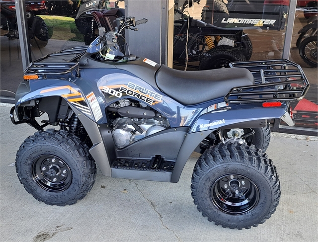 2025 Kawasaki Brute Force 300 at Dale's Fun Center, Victoria, TX 77904