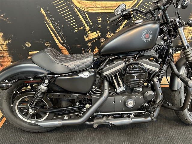 2022 Harley-Davidson Sportster Iron 883 at Hellbender Harley-Davidson