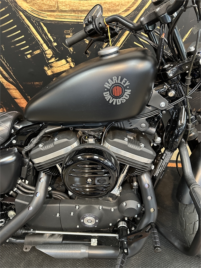 2022 Harley-Davidson Sportster Iron 883 at Hellbender Harley-Davidson