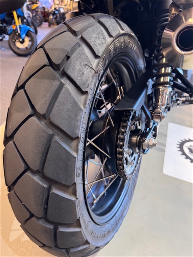 2019 Triumph Street Scrambler Base at Martin Moto