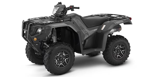 2025 Honda FourTrax Foreman Rubicon 4x4 Automatic DCT EPS Deluxe at Arkport Cycles