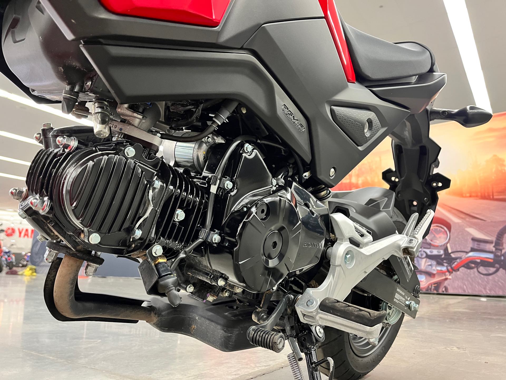 2019 Honda Grom Base at Aces Motorcycles - Denver