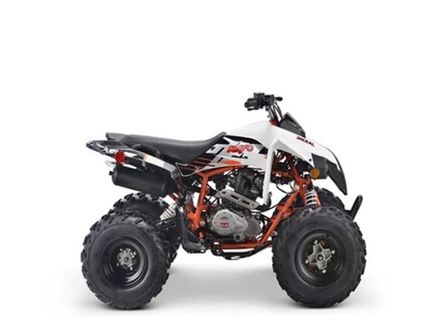 2021 Kayo 200 Jackal at Northstate Powersports