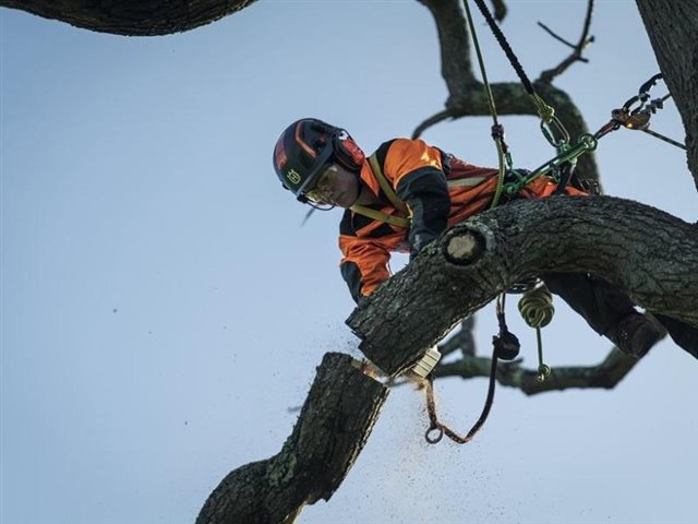 2022 Husqvarna Power Top Handle Chainsaws T540i XP at R/T Powersports