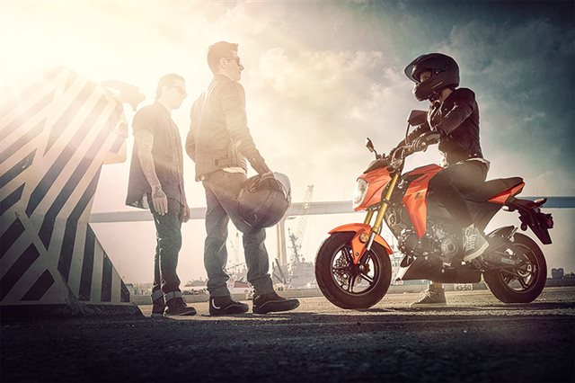 2025 Kawasaki Z125 PRO Base at ATVs and More