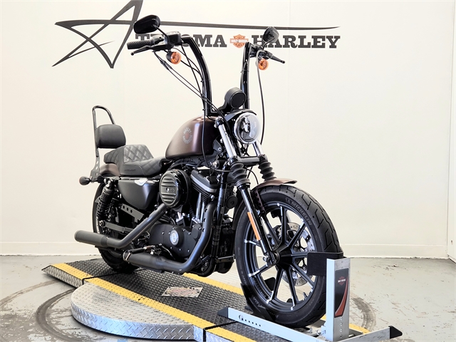 2019 Harley-Davidson Sportster Iron 883 at Texoma Harley-Davidson