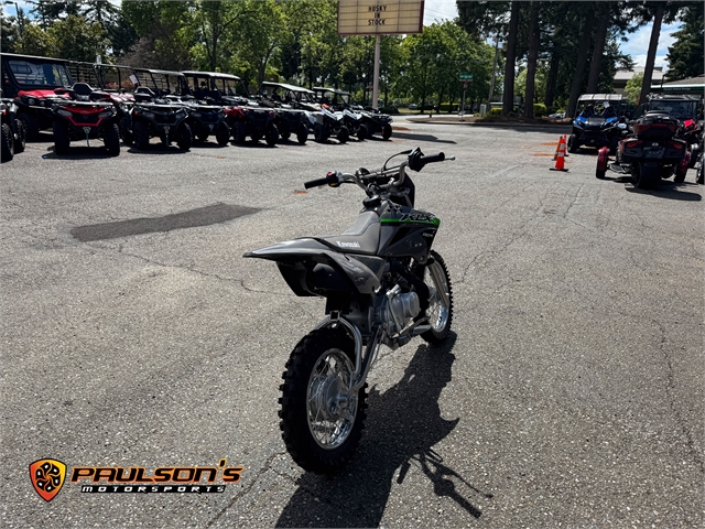 2024 Kawasaki KLX 110R L at Paulson's Motorsports