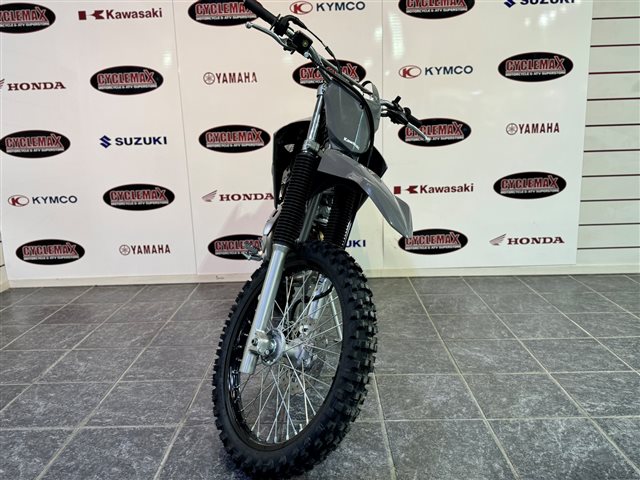 2025 Kawasaki KLX 230R at Cycle Max