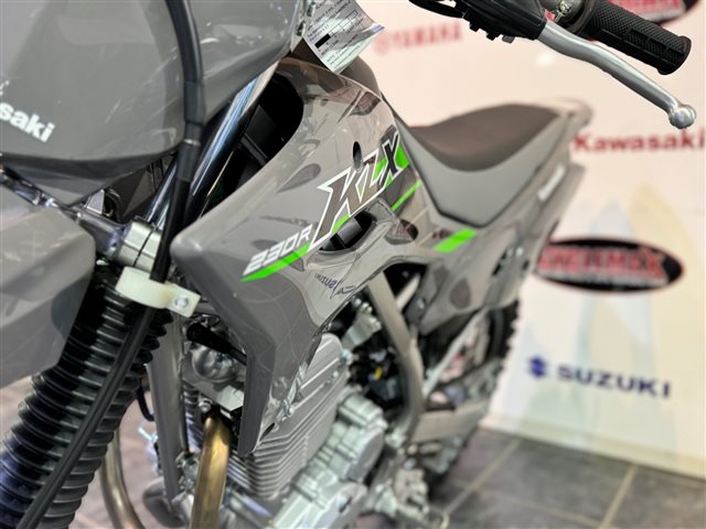 2025 Kawasaki KLX 230R at Cycle Max