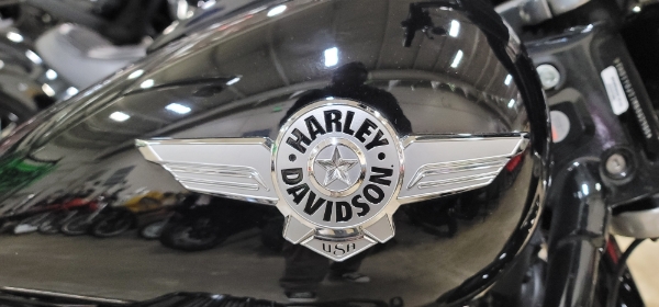 Harley-Davidson Softail Slim Image