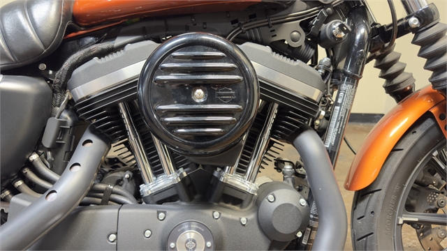 2020 Harley-Davidson Sportster Iron 883 at Southern Devil Harley-Davidson